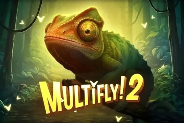 MultiFly 2